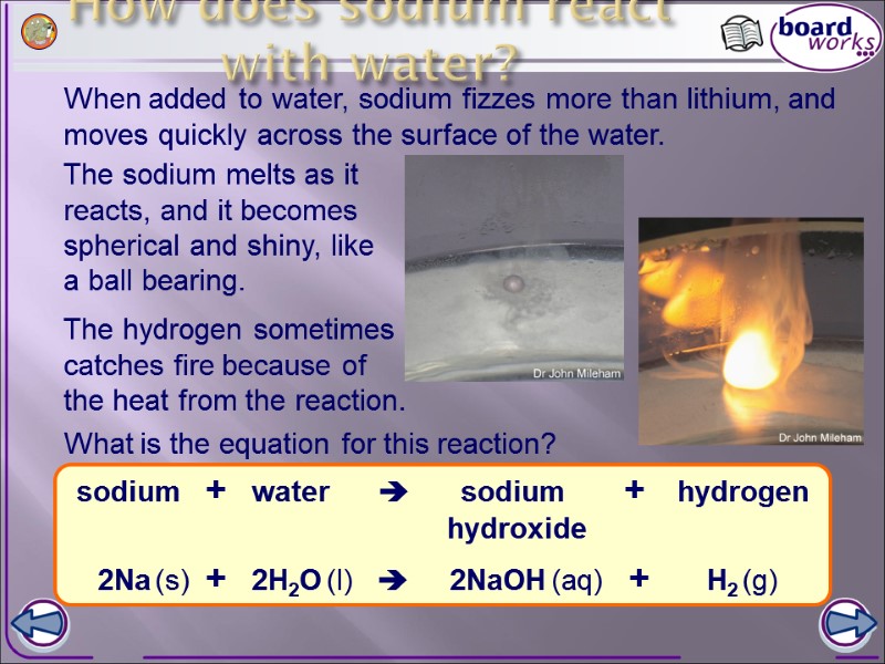 How does sodium react with water? When added to water, sodium fizzes more than
